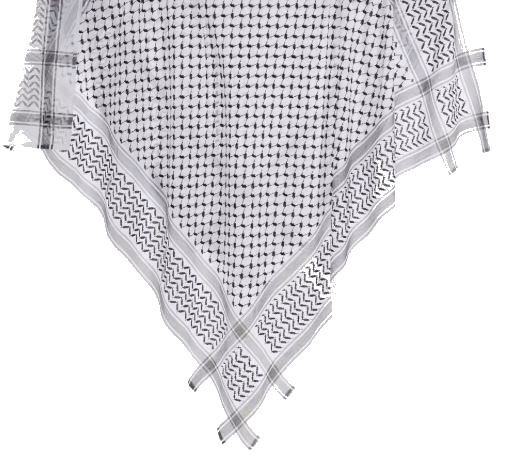 Palestinian keffiyeh