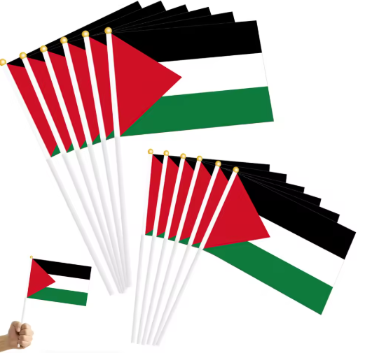 Small Palestine flags 5X