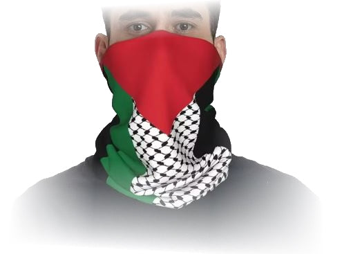 Palestine mask