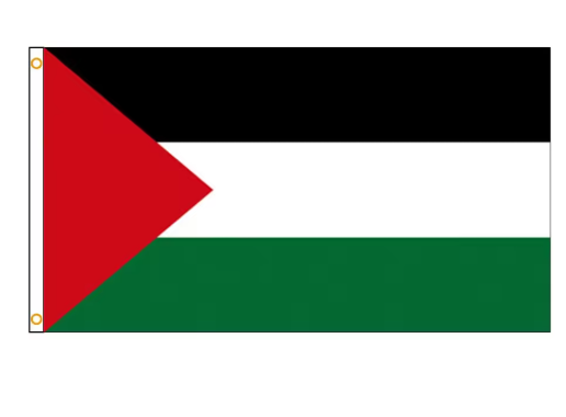 Palestine Flag 90x150cm