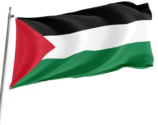 Palestine Flag 90x150cm